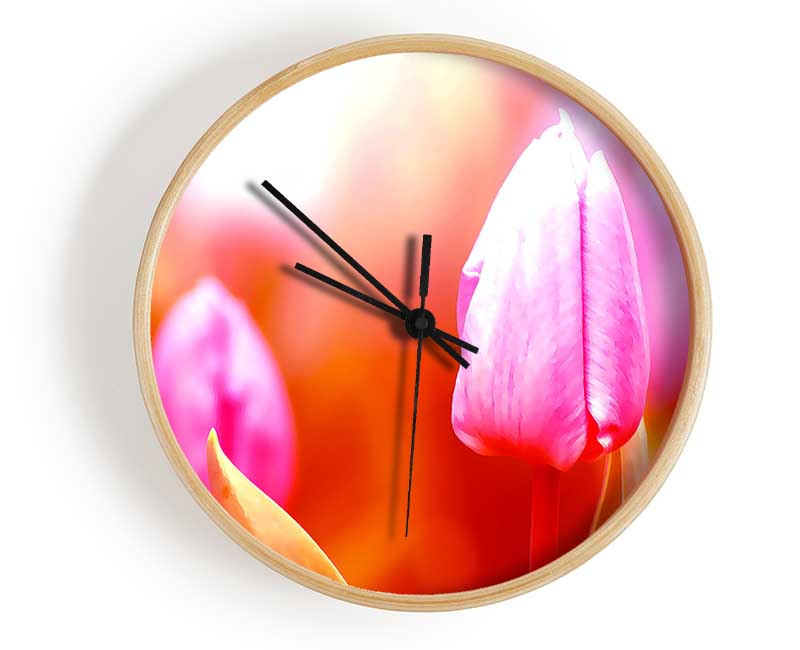 Pink Tulip On Red Clock - Wallart-Direct UK