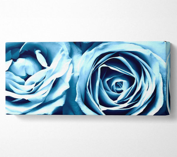 Twin Blue Roses