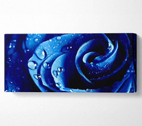 Wet Drops Blue Rose