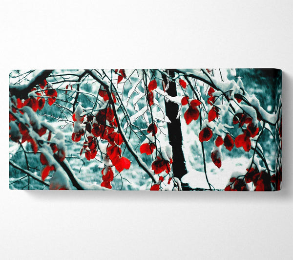 Snow Leaves
