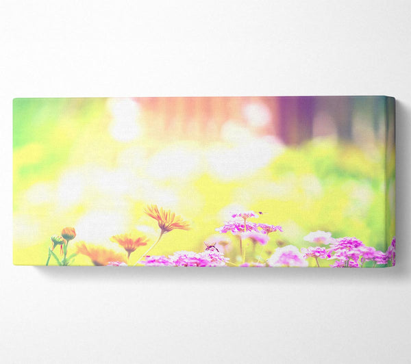 Marigold Lilac Purple Flowers
