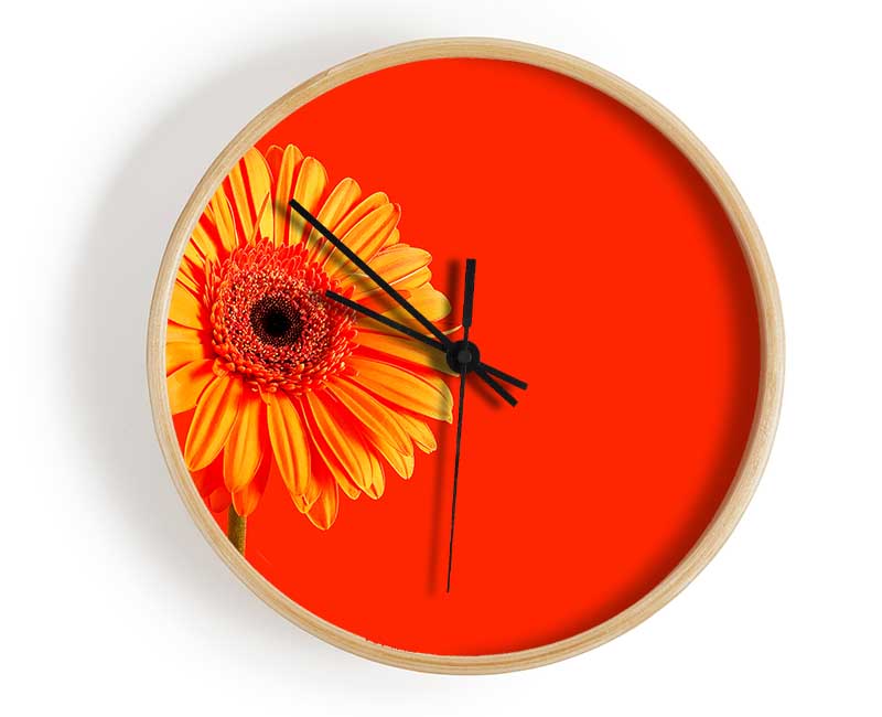 Orange On Orange Gerbera Clock - Wallart-Direct UK