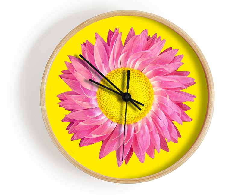 Pink Daisy On Yellow Twist Clock - Wallart-Direct UK