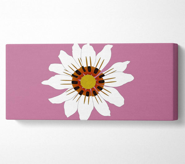 White Daisy Pinks