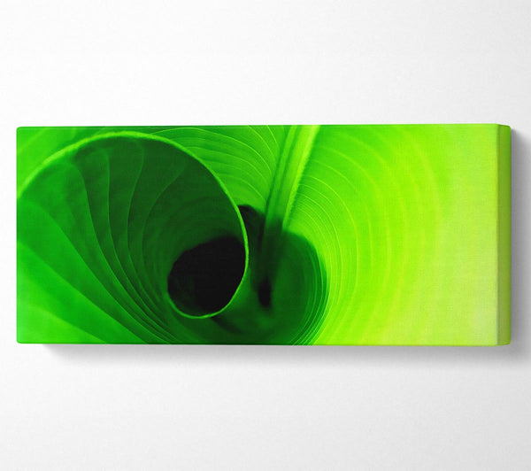 Twist Of A Green Leaf