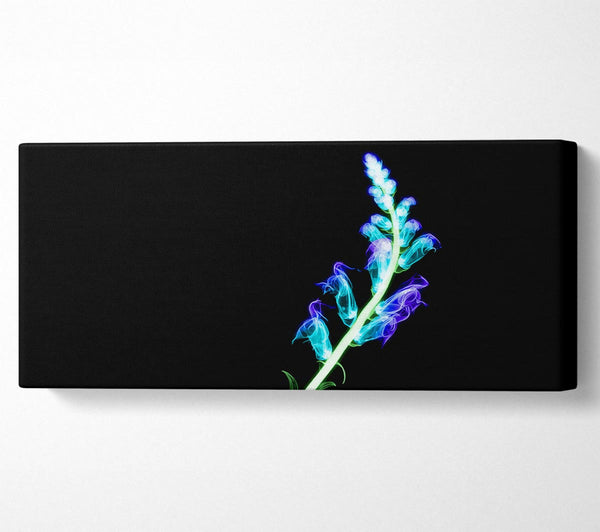 X-Ray Purple