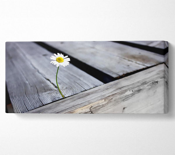 Single Daisy Deck