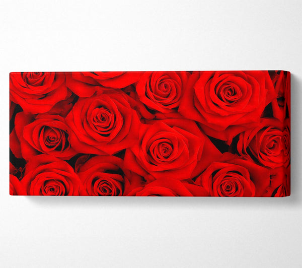 Lovely Roses For The One I Love