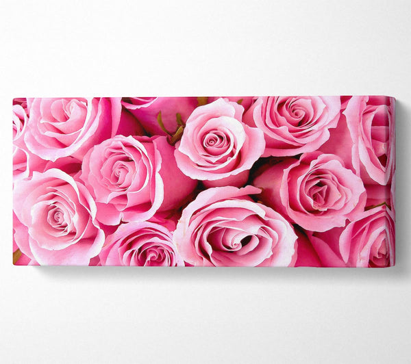 Special Pink Roses