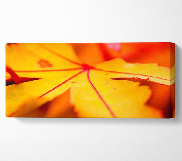 Orange Winter Leaf