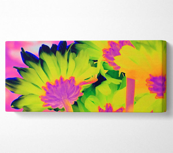 Psychedelic Petals