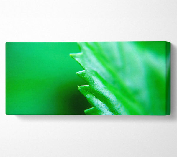 Jagged Green Leaves