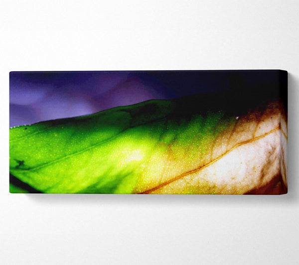 Vibrant Green Leaf Light