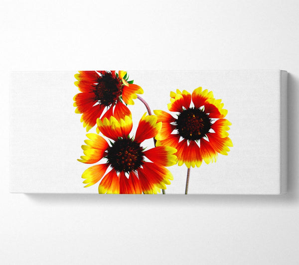 Sun Flower Trio