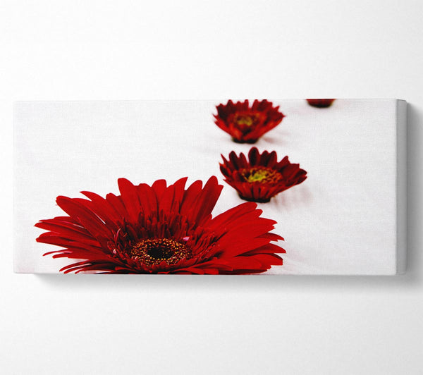 Red Gerbera Heads