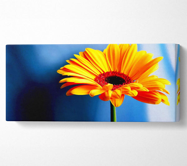 Single Orange Gerbera