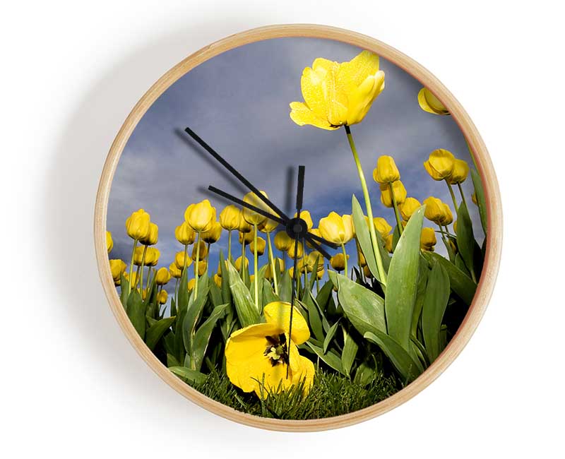 Yellow Daisy Storms Clock - Wallart-Direct UK