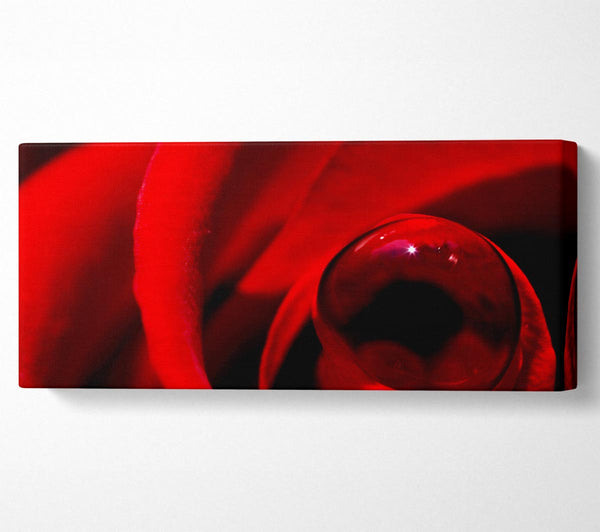 Red Rose Center Dew
