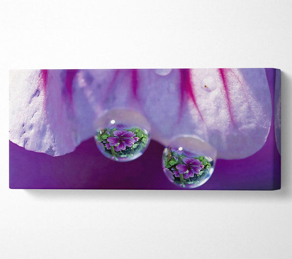 Reflections Of A Water Droplet