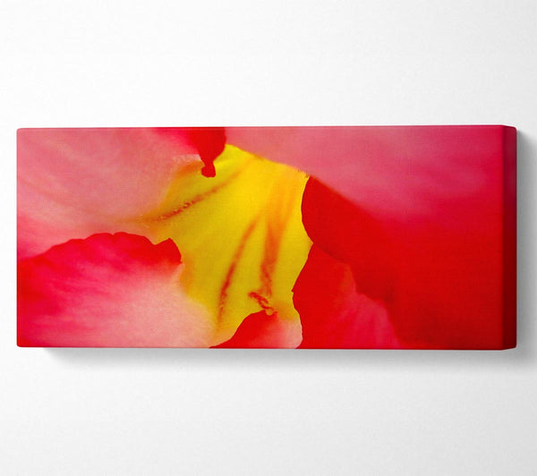 The Flowers Core