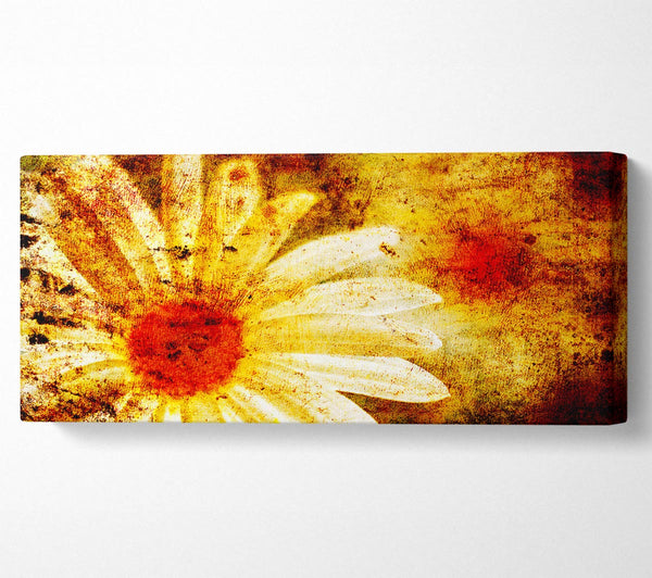 Yellow Daisy Splash