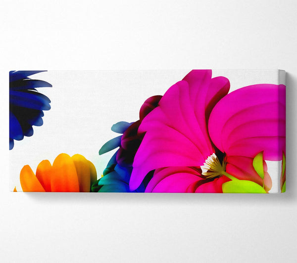 Vibrant Flower Glow