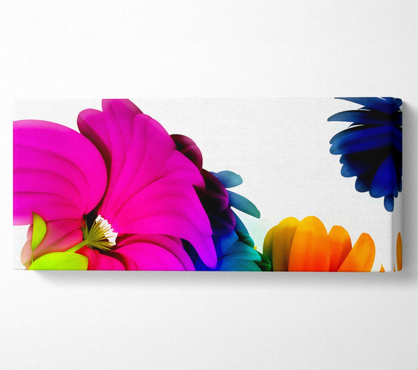 Colourful Vibrant Petals