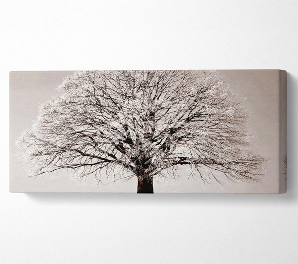 Lonely Winter Tree