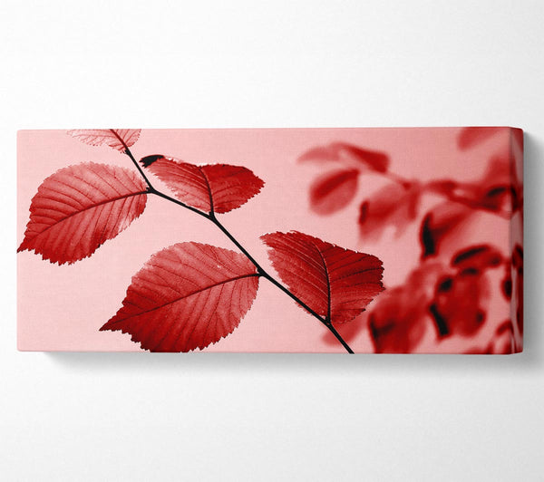 Red Leaves
