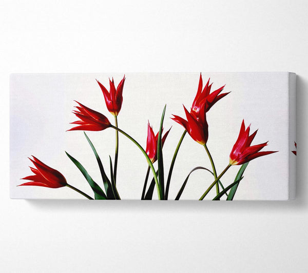 Red Fire Tulip Bouquet