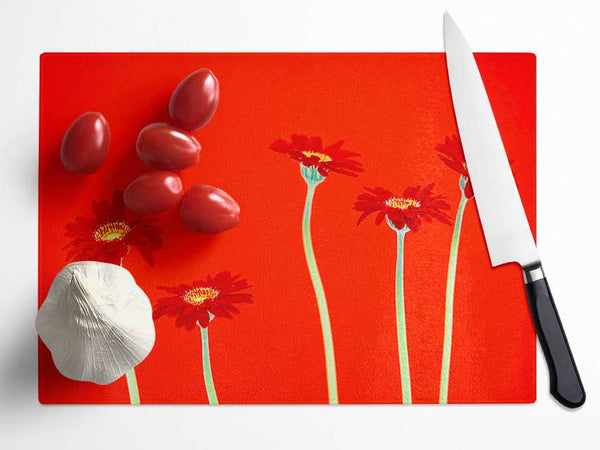Red Daisies On Orange Glass Chopping Board