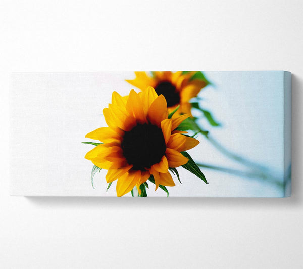 Yellow Sunflower Duo
