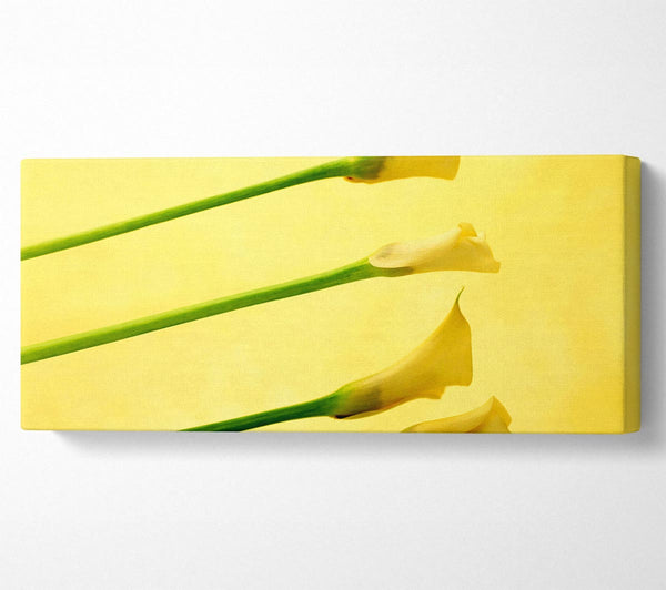 Yellow Trumpet Flowers