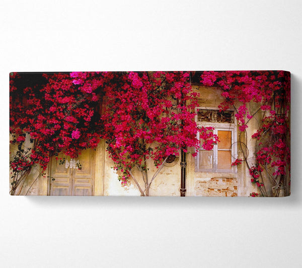 Italian Farmhouse Beauty