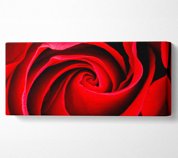 Red Rose Silk