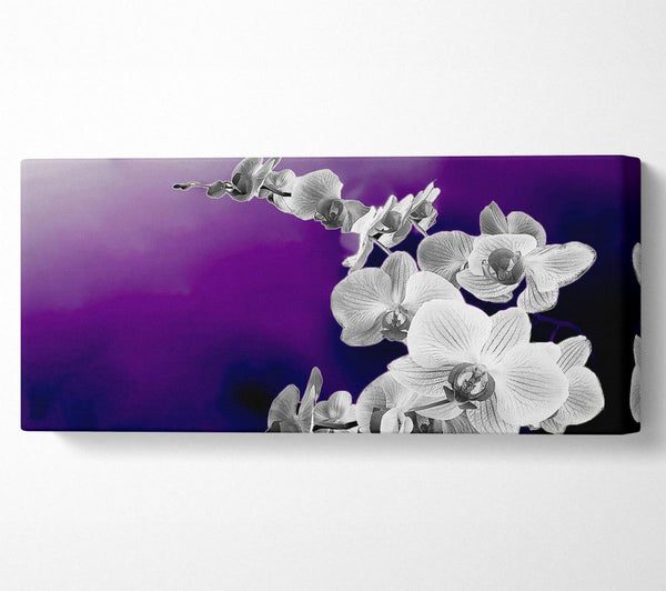 Snap Dragon Purple B n W