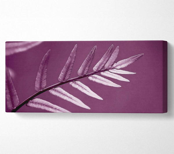 Purple Leaves