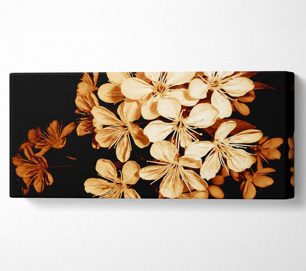 Cocoa Flowers