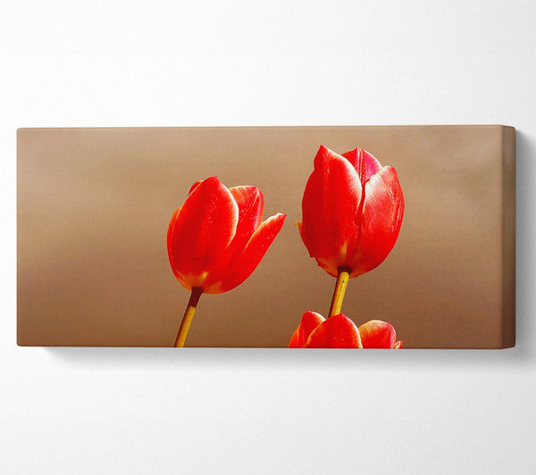 Red Tulip Trio