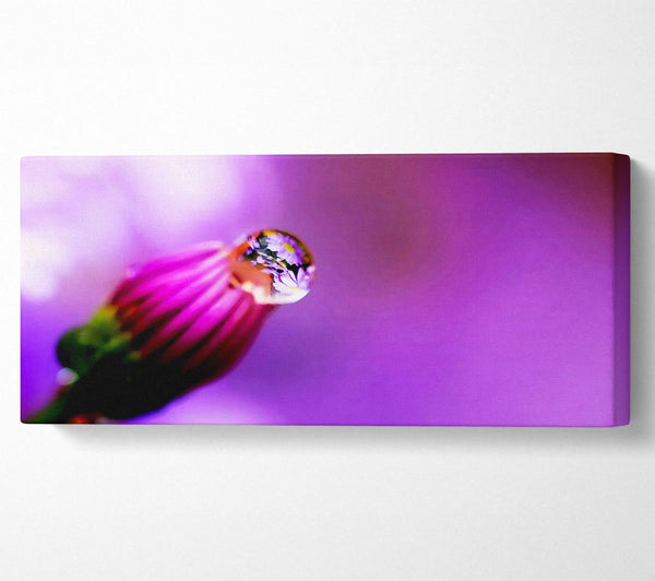 Purple Water Drop Reflection