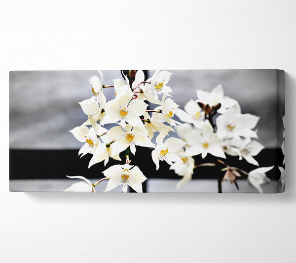 White Snowdrop Cross