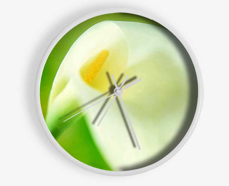 Single White Calla Lily Clock - Wallart-Direct UK