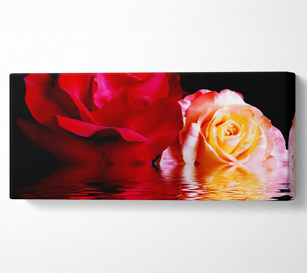 The Floating Roses