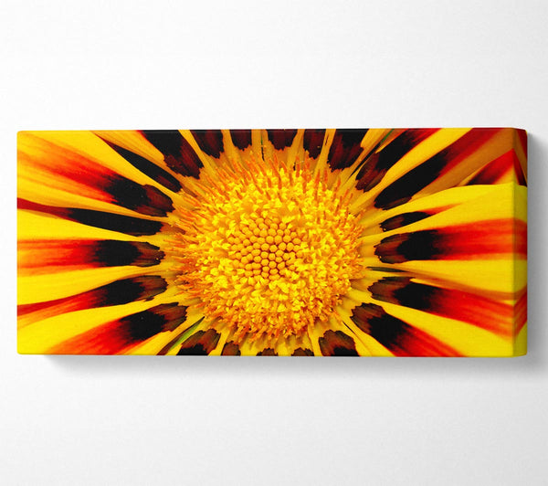 The Centre Of The Sun