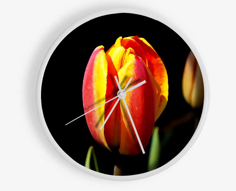 Tulips In A Bath Of Light Clock - Wallart-Direct UK