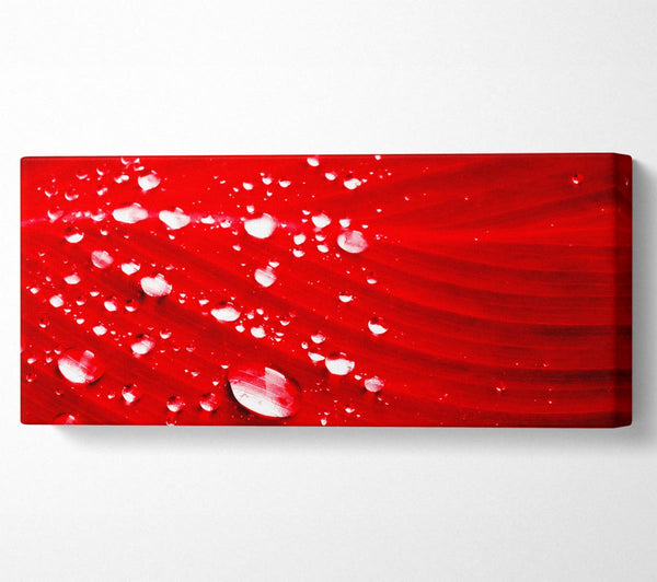 Red Water Droplets