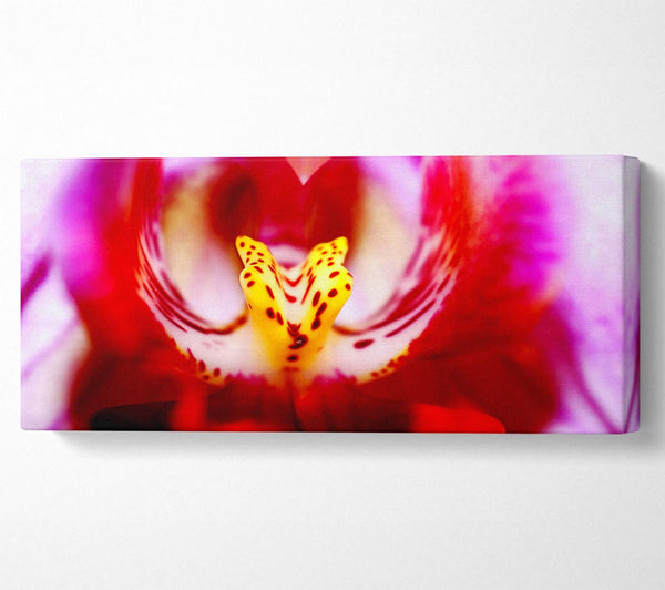 The Eye Of The Flower