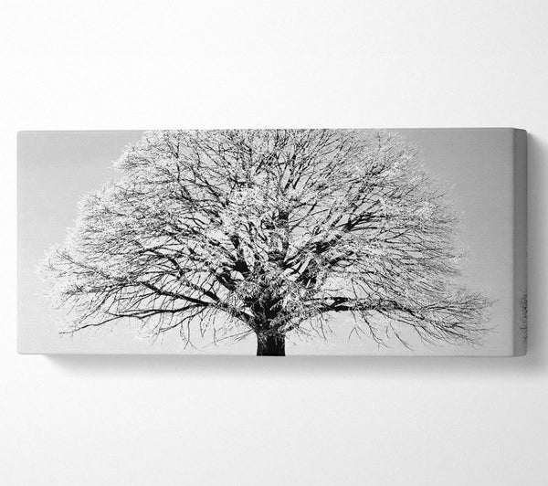 Winter Tree B n W
