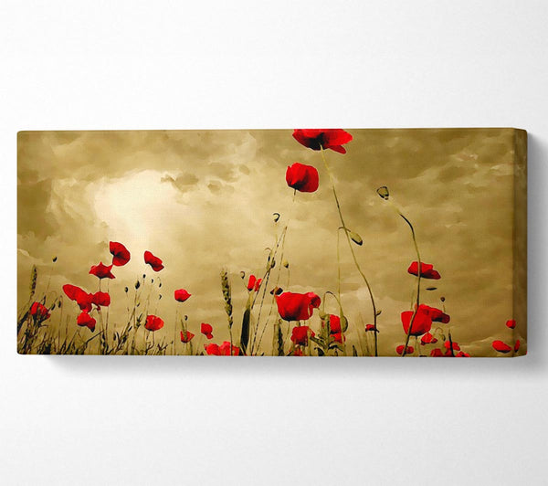 Red Poppy skies