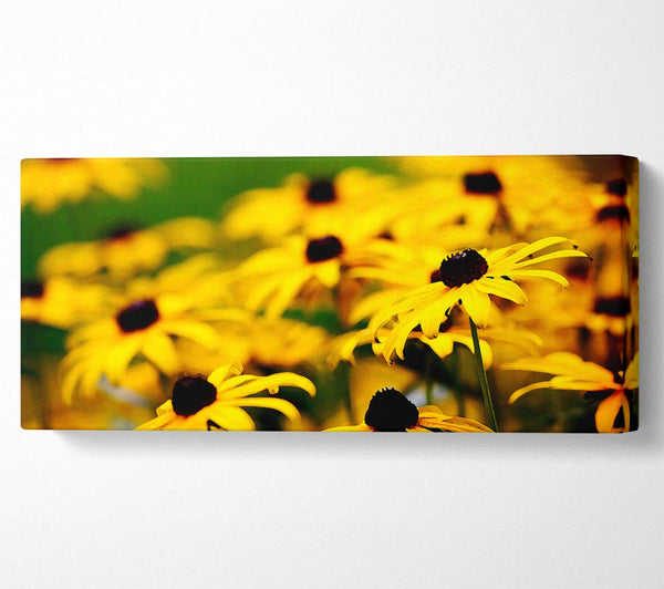 Yellow Daisy Pom Poms